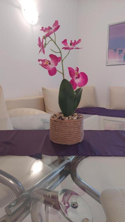 באסקה וודה Apartments Mestral מראה חיצוני תמונה