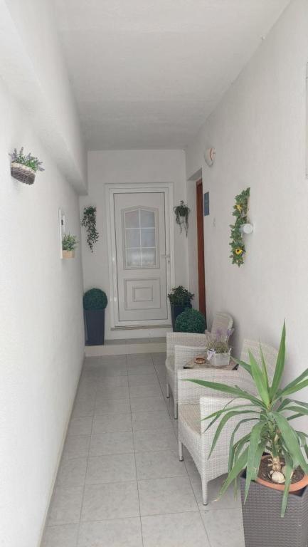 באסקה וודה Apartments Mestral מראה חיצוני תמונה